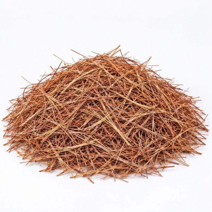 pine-straw-mulch-windermere-fl-gallery-image-1 Pine straw mulch for landscaping in Windermere, FL