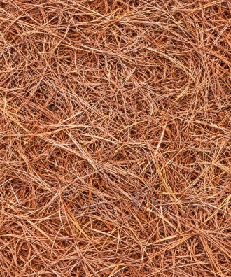 Pine straw mulch texture close-up in Windermere, FL
