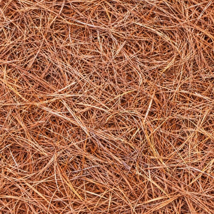 pine-straw-mulch-windermere-fl-gallery-image-2 Pine straw mulch texture close-up in Windermere, FL