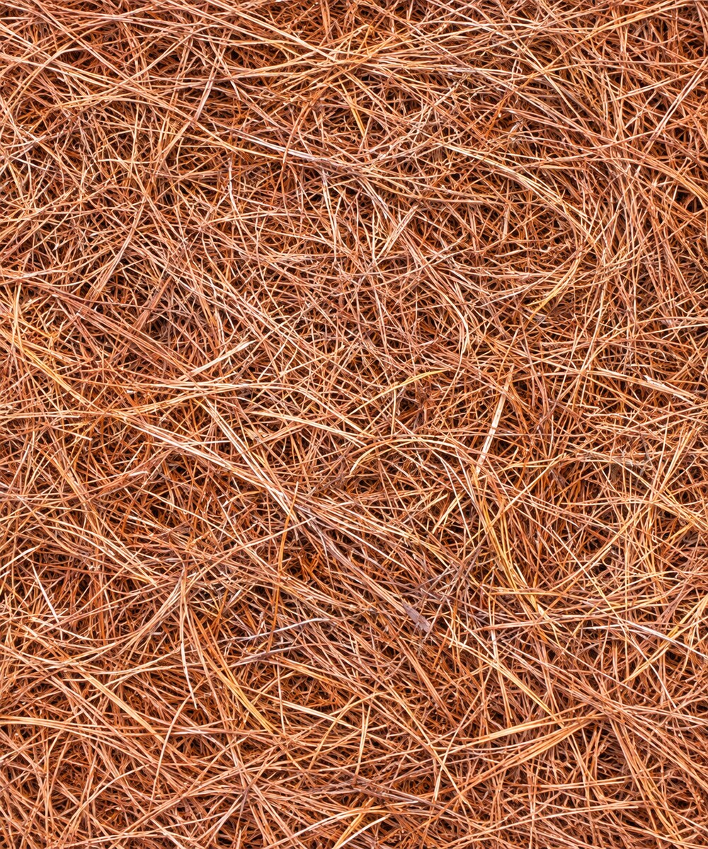 Pine Straw mulch